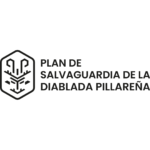 Plan de salvaguardia